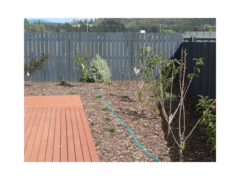 9 Palm Court, St Helens TAS 7216