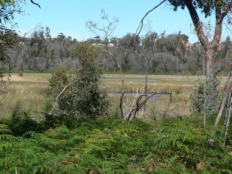 155 Upper Scamander Road, Scamander TAS 7215