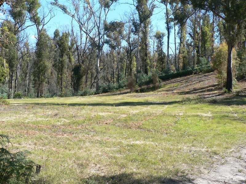 155 Upper Scamander Road, Scamander TAS 7215