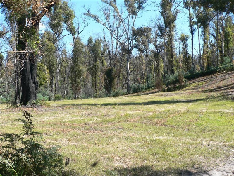 155 Upper Scamander Road, Scamander TAS 7215