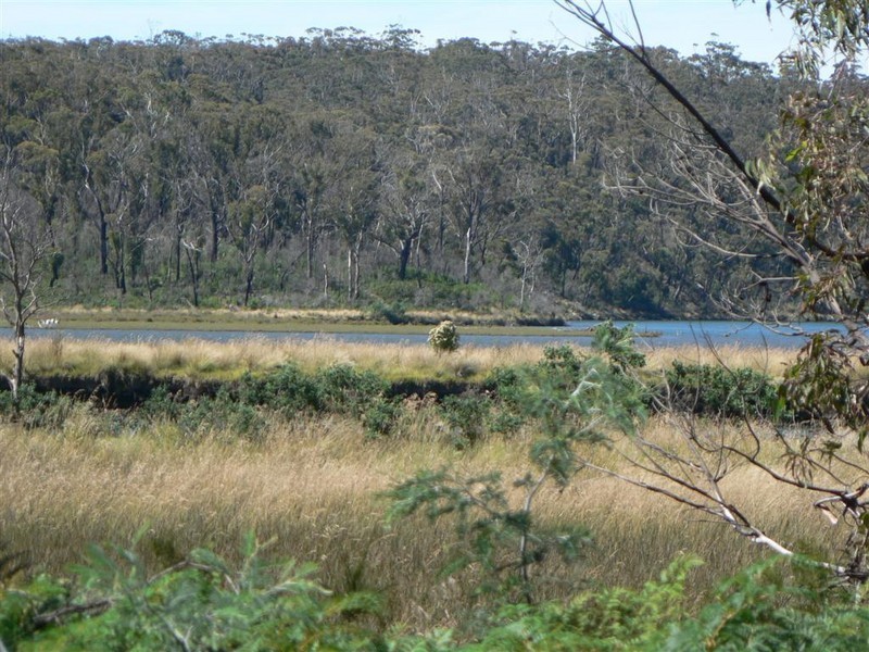 155 Upper Scamander Road, Scamander TAS 7215