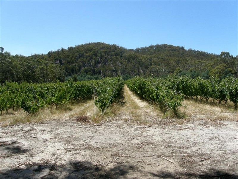 558 Upper Scamander Road, Upper Scamander TAS 7215