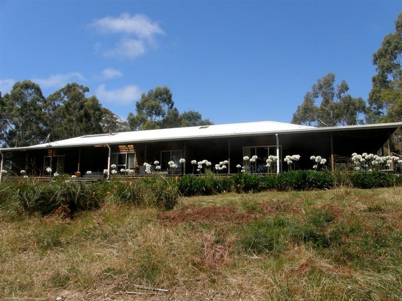 558 Upper Scamander Road, Upper Scamander TAS 7215