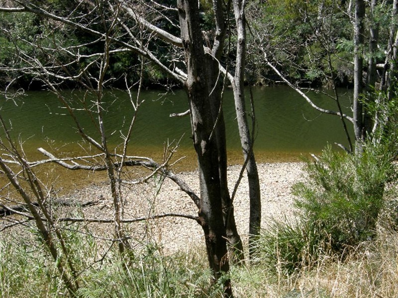558 Upper Scamander Road, Upper Scamander TAS 7215