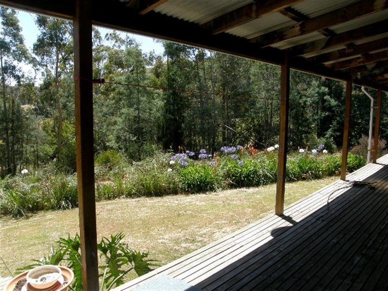 558 Upper Scamander Road, Upper Scamander TAS 7215