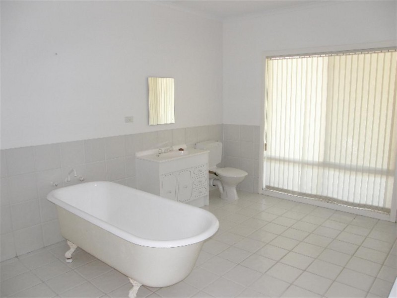 558 Upper Scamander Road, Upper Scamander TAS 7215