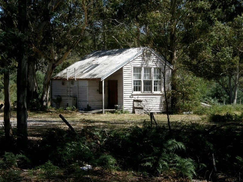 558 Upper Scamander Road, Upper Scamander TAS 7215