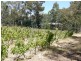 558 Upper Scamander Road, Upper Scamander TAS 7215