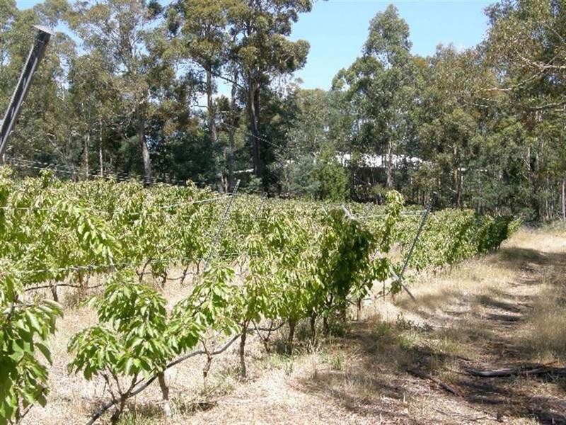 558 Upper Scamander Road, Upper Scamander TAS 7215