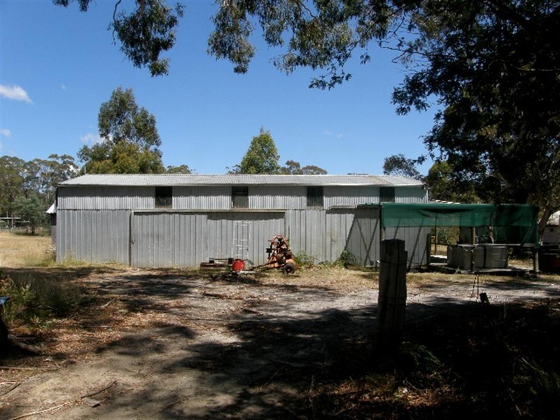 558 Upper Scamander Road, Upper Scamander TAS 7215