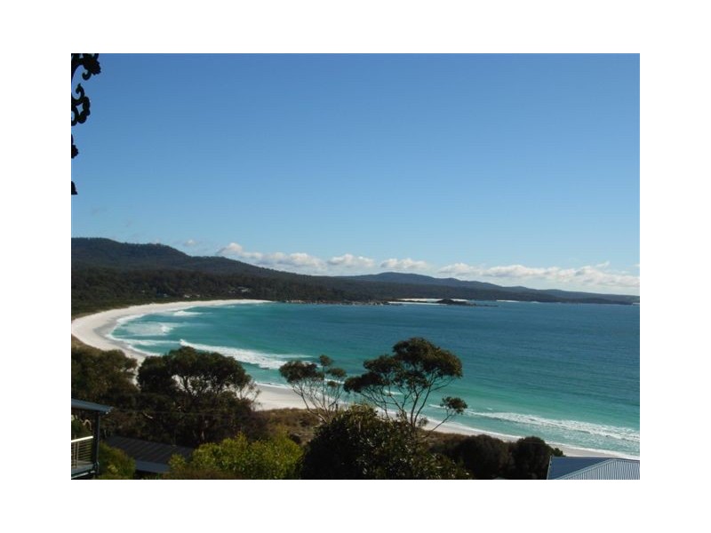 4/22 Wedge Court, Binalong Bay TAS 7216