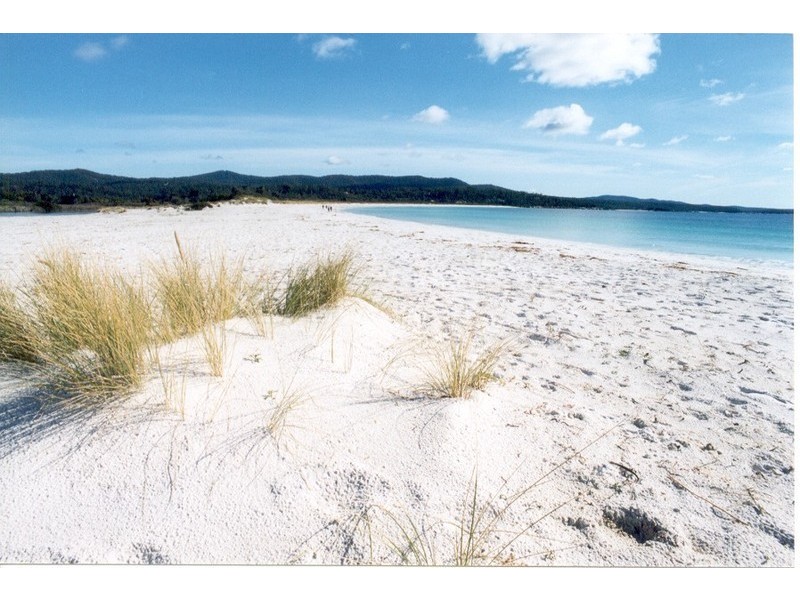 4/22 Wedge Court, Binalong Bay TAS 7216