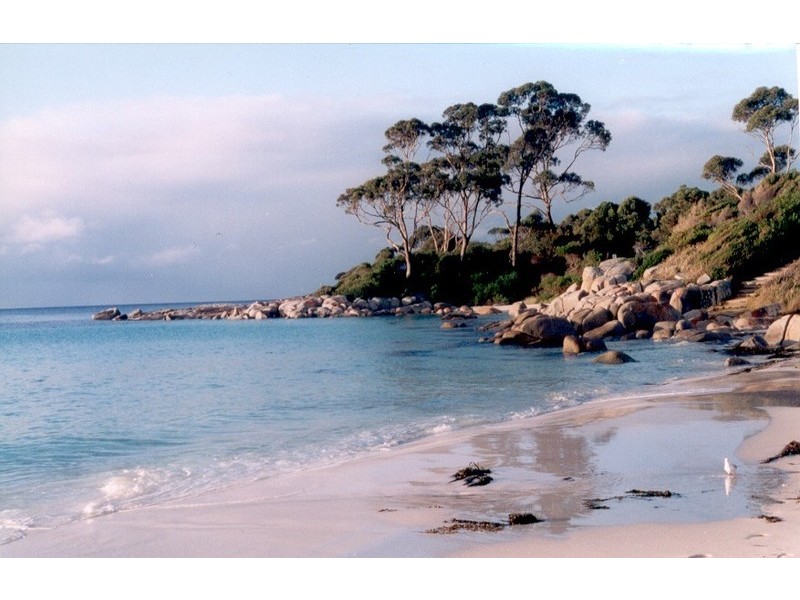 4/22 Wedge Court, Binalong Bay TAS 7216