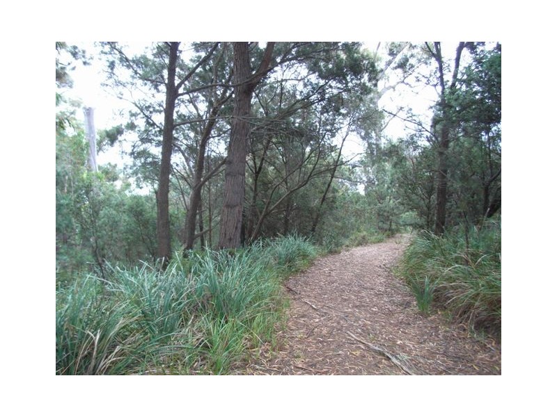 89 St Helens Point Road, Stieglitz TAS 7216