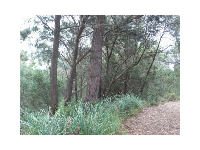 89 St Helens Point Road, Stieglitz TAS 7216