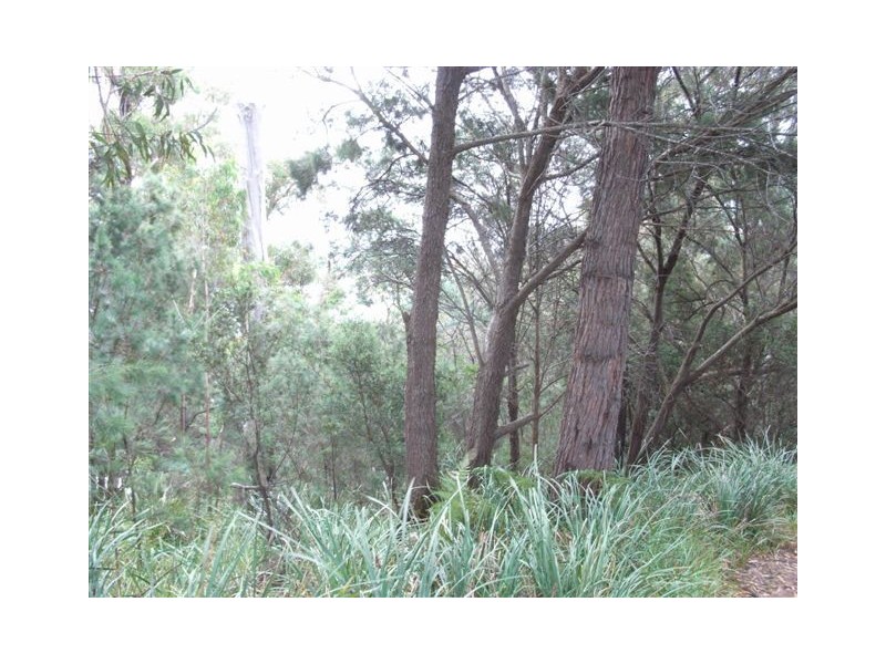 89 St Helens Point Road, Stieglitz TAS 7216