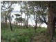 89 St Helens Point Road, Stieglitz TAS 7216