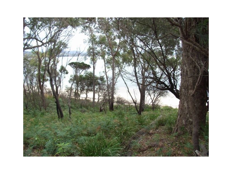 89 St Helens Point Road, Stieglitz TAS 7216
