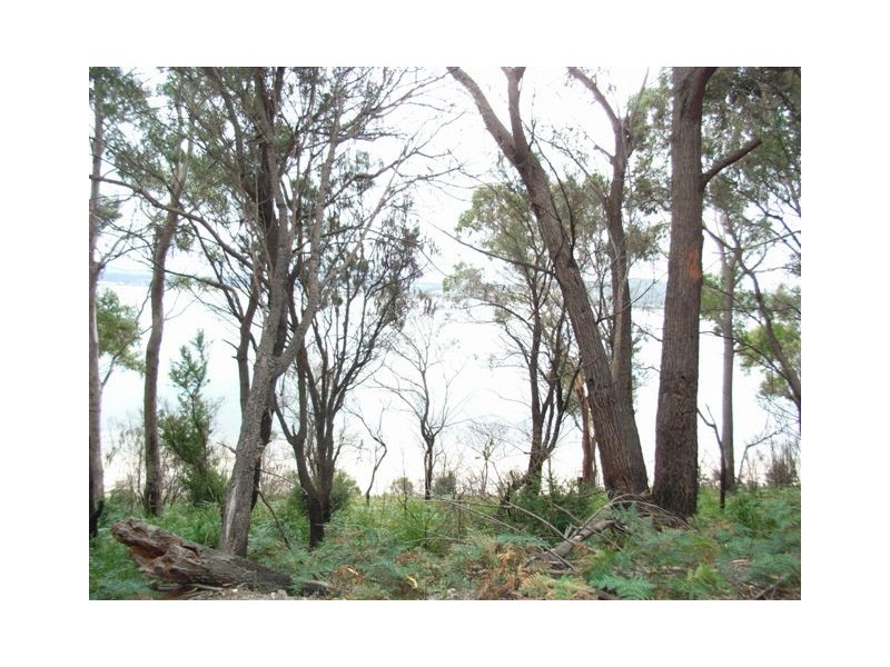 89 St Helens Point Road, Stieglitz TAS 7216