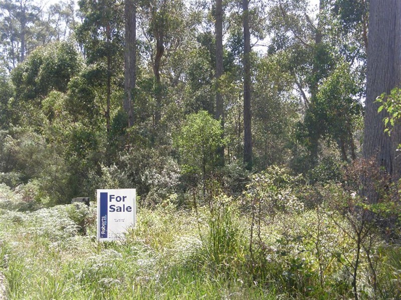 Lot 1 Lower Germantown Road, St Marys TAS 7215