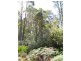 Lot 1 Lower Germantown Road, St Marys TAS 7215