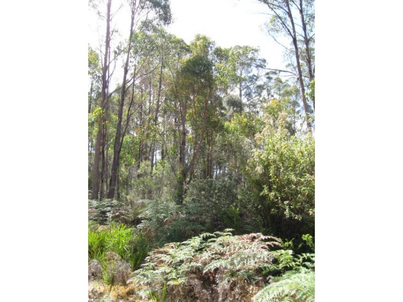 Lot 1 Lower Germantown Road, St Marys TAS 7215