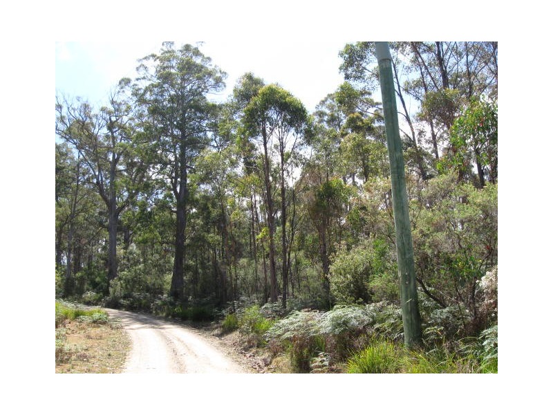 Lot 1 Lower Germantown Road, St Marys TAS 7215