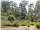 Lot 1 Lower Germantown Road, St Marys TAS 7215