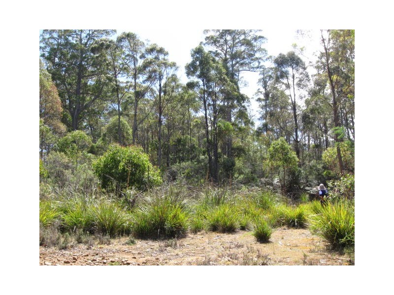 Lot 1 Lower Germantown Road, St Marys TAS 7215