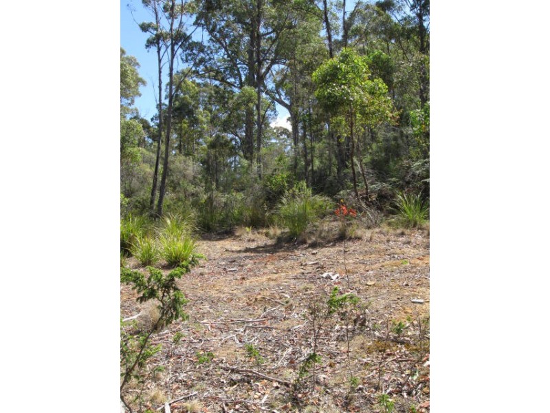 Lot 1 Lower Germantown Road, St Marys TAS 7215