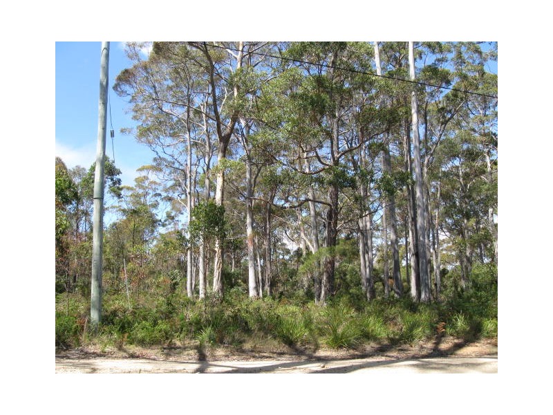 Lot 1 Lower Germantown Road, St Marys TAS 7215