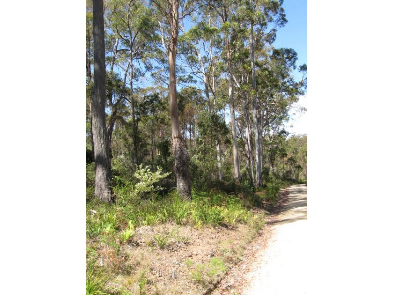 Lot 1 Lower Germantown Road, St Marys TAS 7215