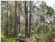 Lot 1 Lower Germantown Road, St Marys TAS 7215