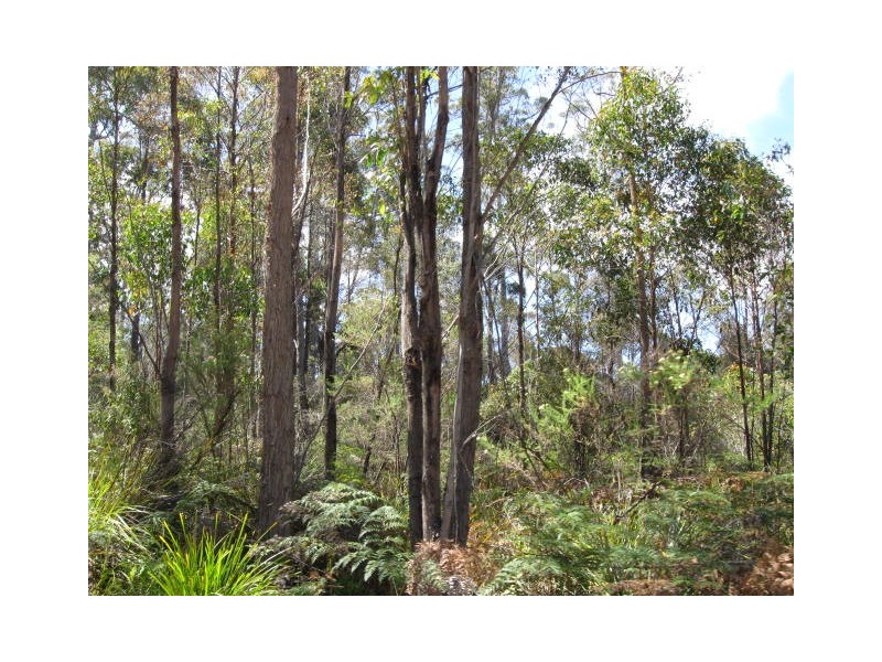 Lot 1 Lower Germantown Road, St Marys TAS 7215