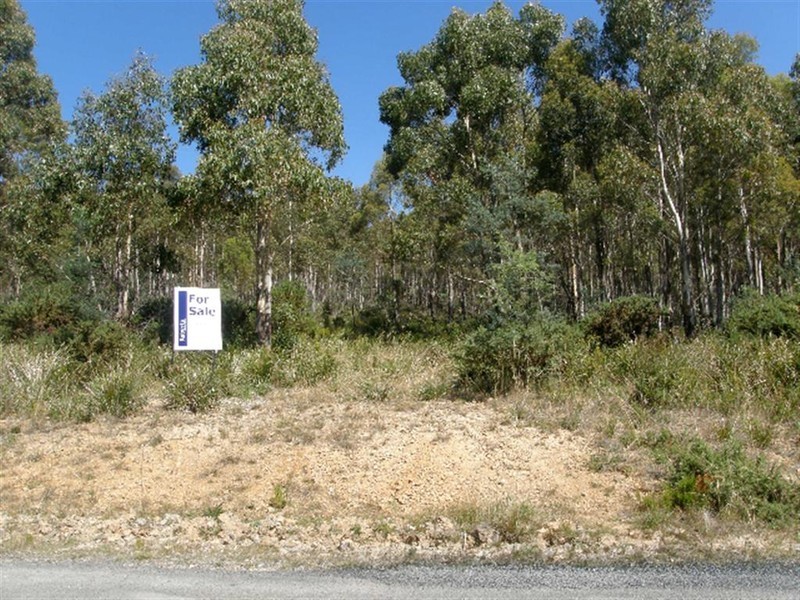 Lot 2 Irish Town Road, St Marys TAS 7215
