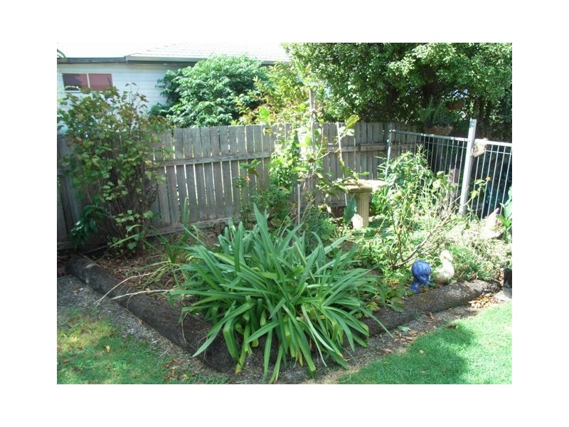 58 Quail Street, St Helens TAS 7216
