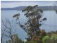 133 St Helens Point Road, Stieglitz TAS 7216