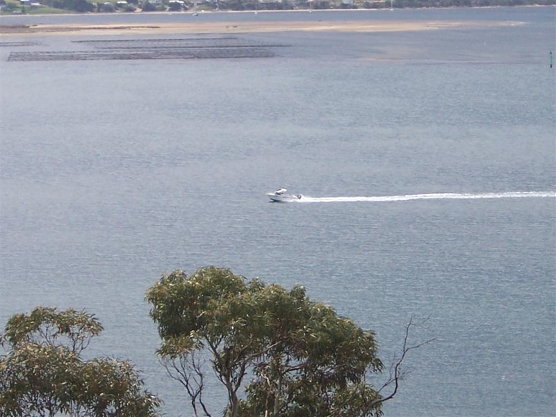 133 St Helens Point Road, Stieglitz TAS 7216