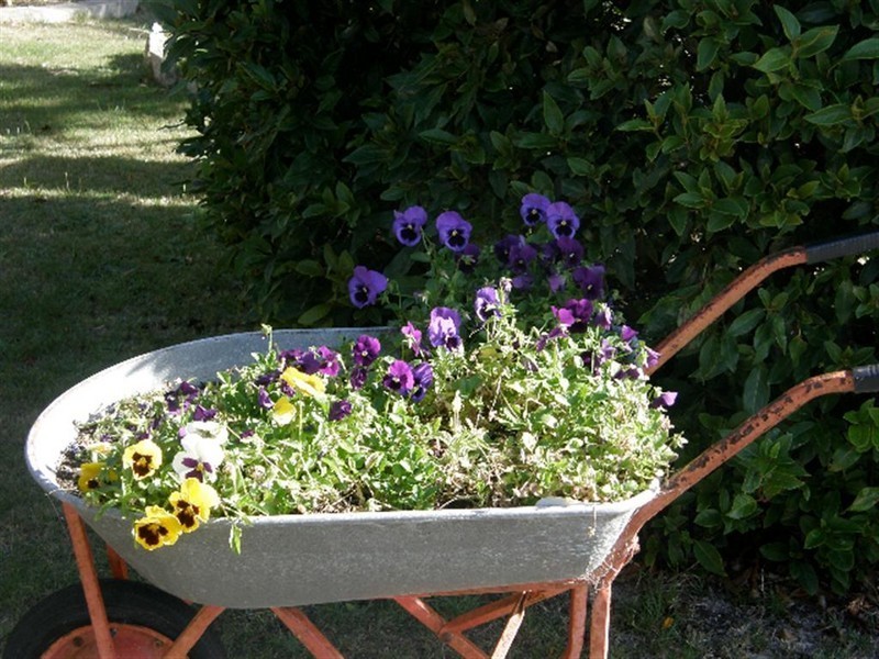 5 Heath Street, Scamander TAS 7215