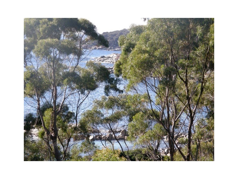 64 Treloggen Drive, Binalong Bay TAS 7216