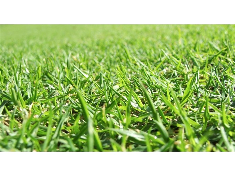 2 Bittern Street, Stieglitz TAS 7216