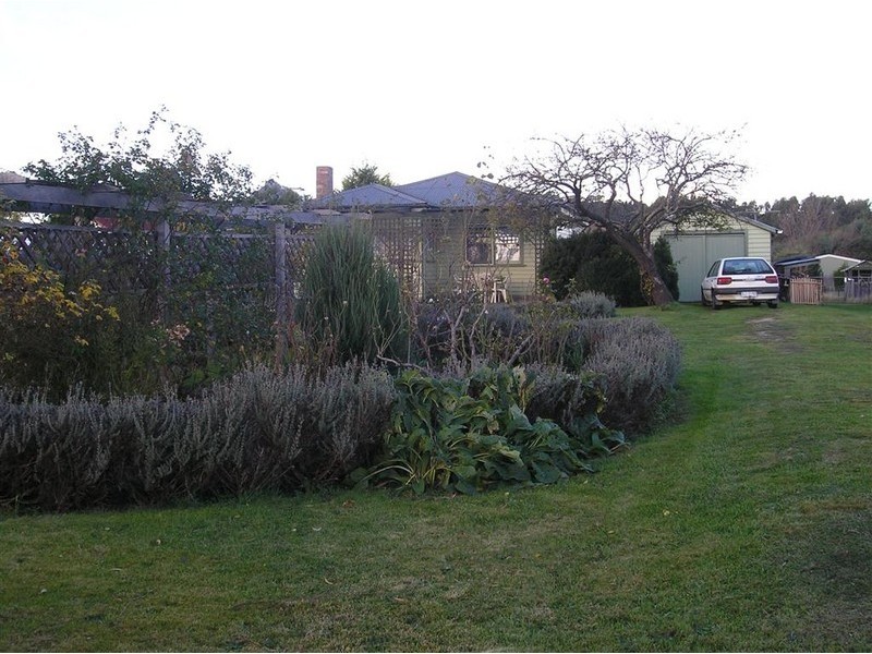 45 Clive Street, St Marys TAS 7215