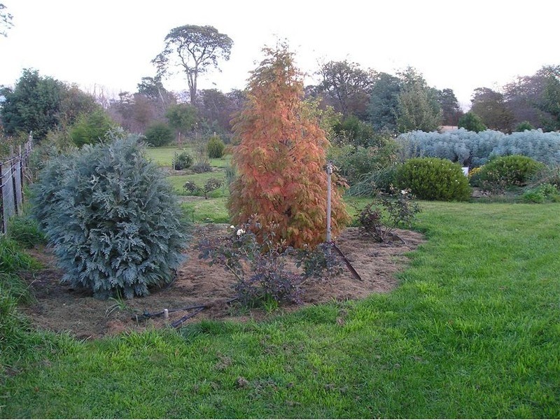 45 Clive Street, St Marys TAS 7215