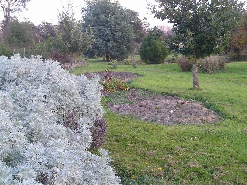 45 Clive Street, St Marys TAS 7215