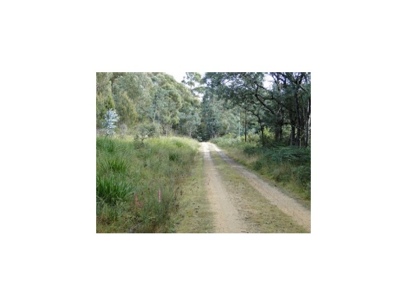 Lot 37064 Wilkins Road, Chain Of Lagoons TAS 7215