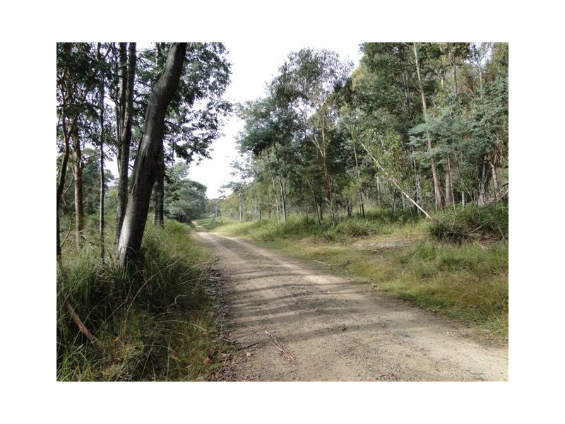 Lot 37064 Wilkins Road, Chain Of Lagoons TAS 7215
