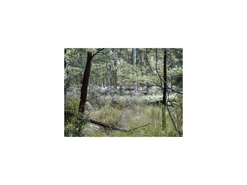 Lot 37064 Wilkins Road, Chain Of Lagoons TAS 7215