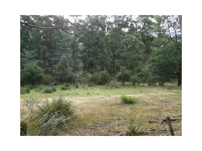 Lot 37064 Wilkins Road, Chain Of Lagoons TAS 7215