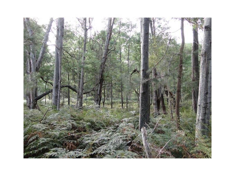Lot 37064 Wilkins Road, Chain Of Lagoons TAS 7215