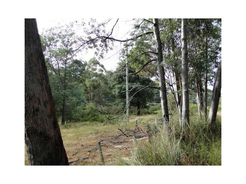 Lot 37064 Wilkins Road, Chain Of Lagoons TAS 7215